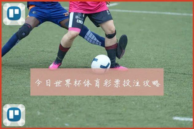 今日世界杯体育彩票投注攻略