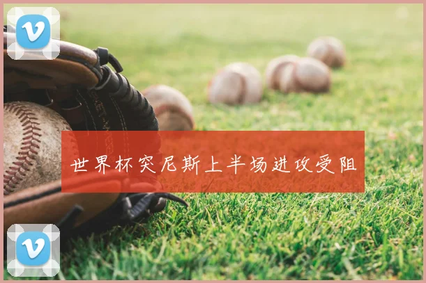 世界杯突尼斯上半场进攻受阻