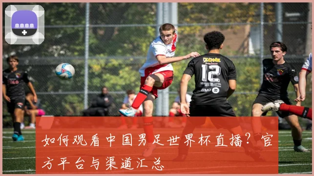 如何观看中国男足世界杯直播?官方平台与渠道汇总