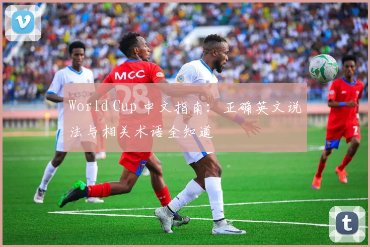 World Cup 中文指南：正确英文说法与相关术语全知道