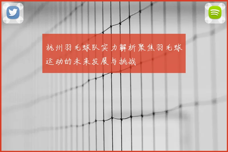 杭州羽毛球队实力解析聚焦羽毛球运动的未来发展与挑战