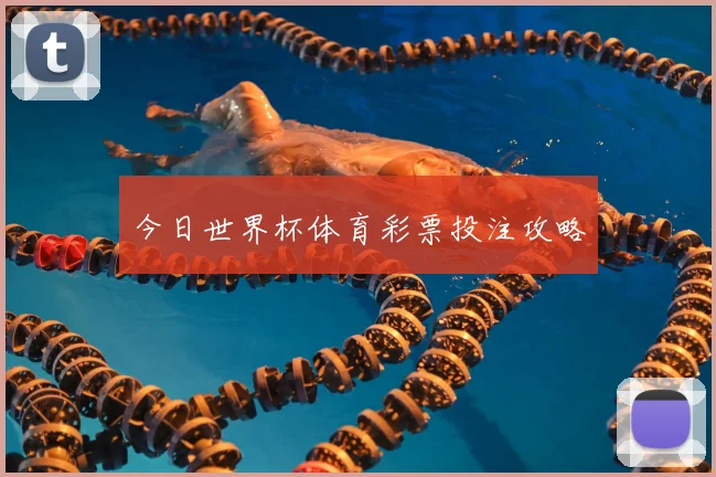 今日世界杯体育彩票投注攻略