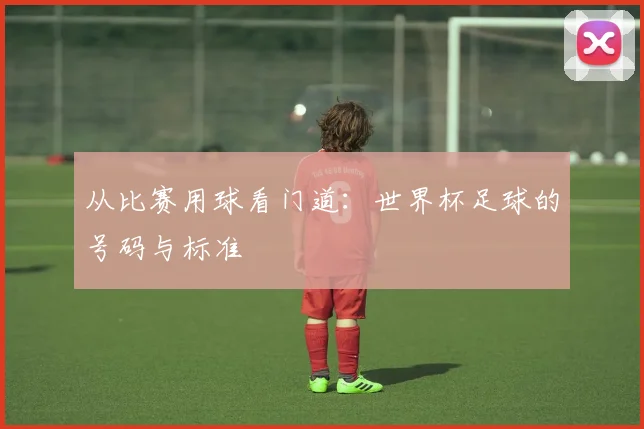 从比赛用球看门道：世界杯足球的号码与标准