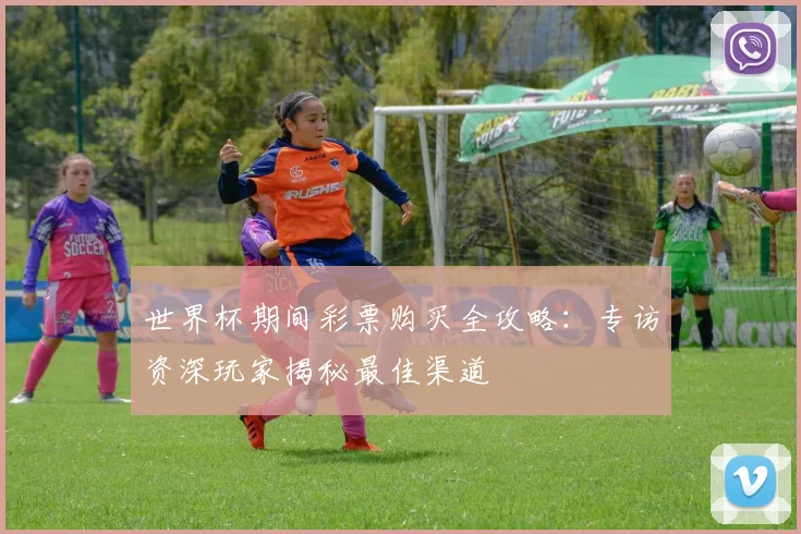 世界杯期间彩票购买全攻略：专访资深玩家揭秘最佳渠道