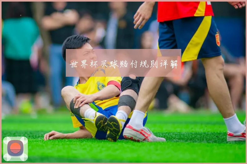 世界杯买球赔付规则详解